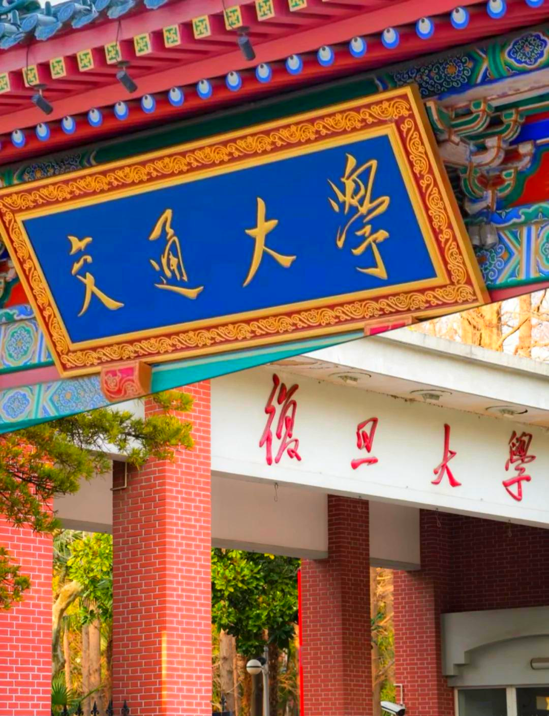 复旦大学在哪里(国外复旦大学在哪里)