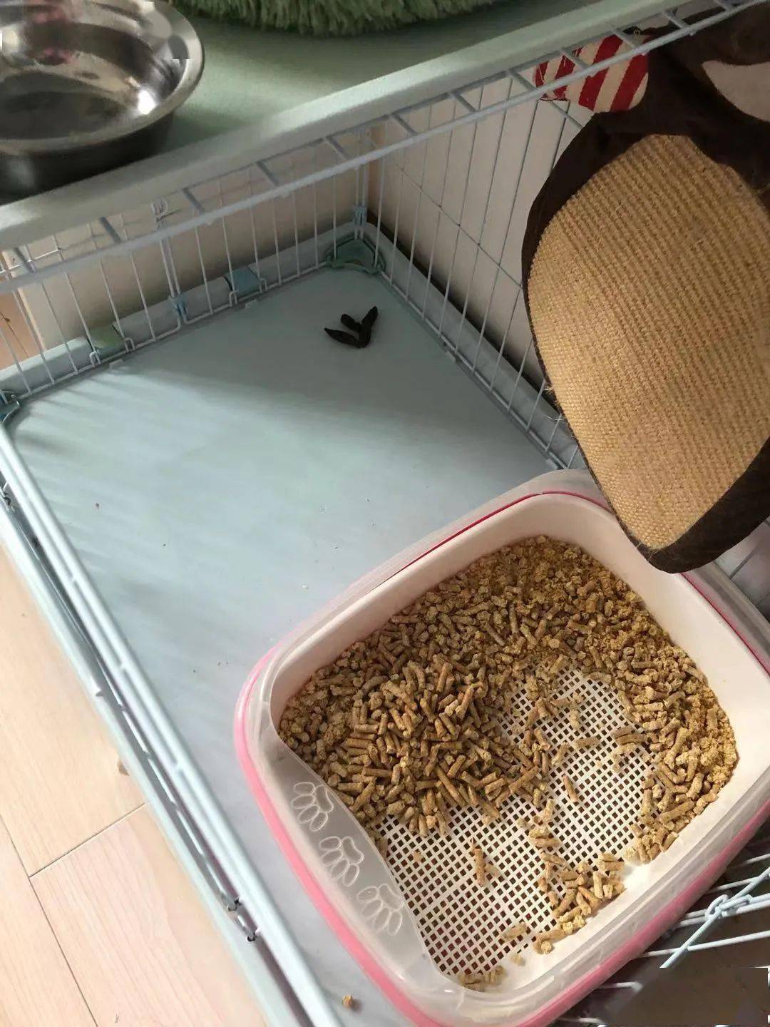 梦见床上有屎(梦见床上有屎尿)
