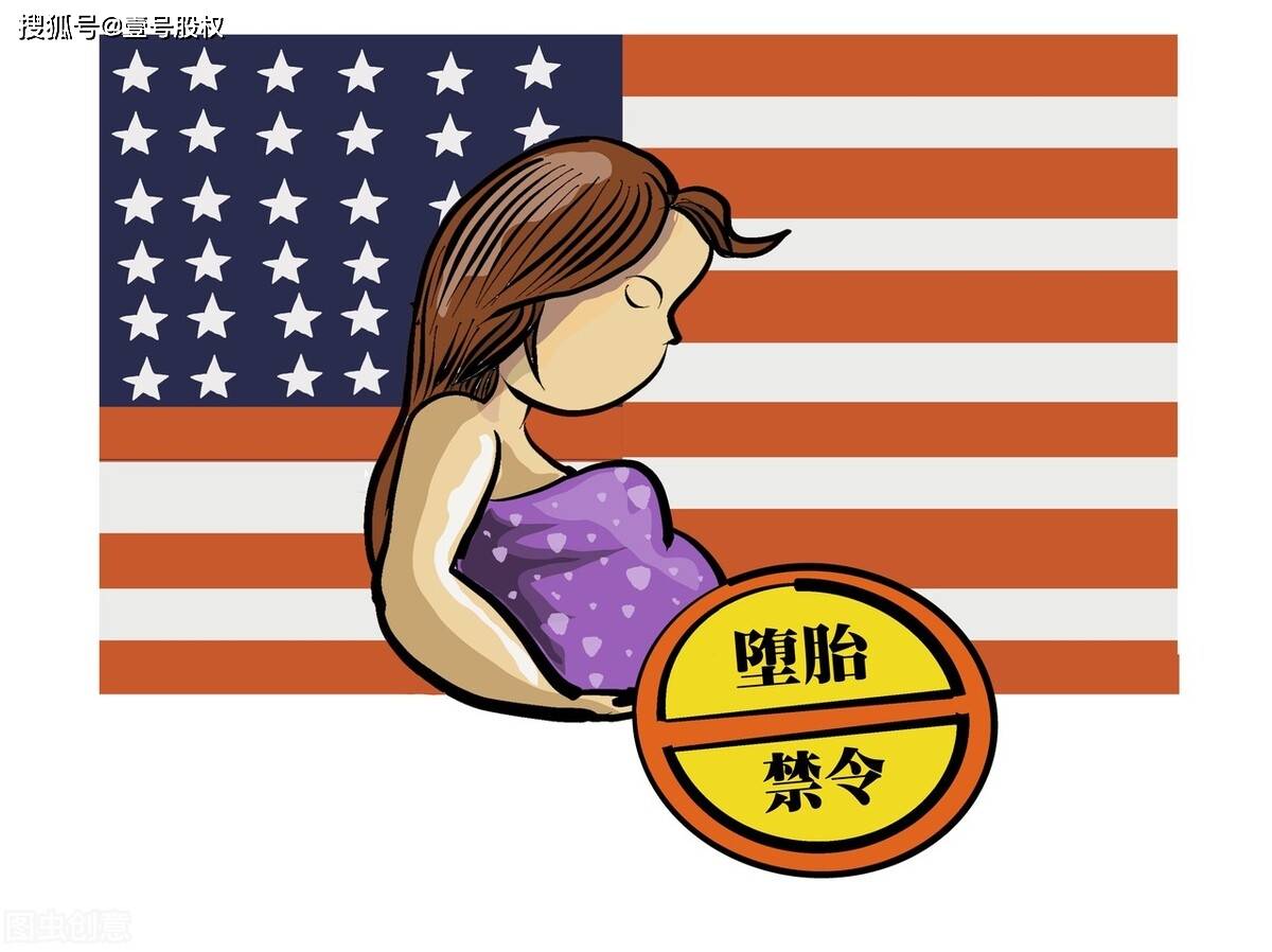 本网站受美国保护(本网站内容受美国保护)