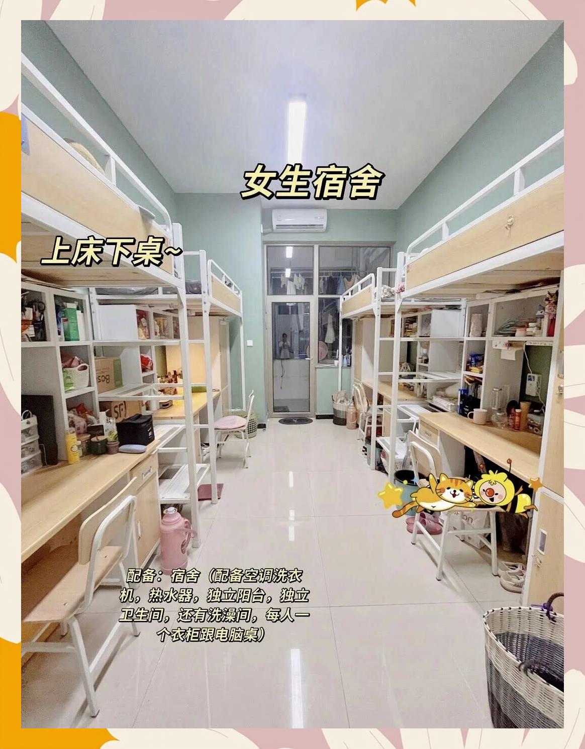 报大专(报大专怎么填志愿)