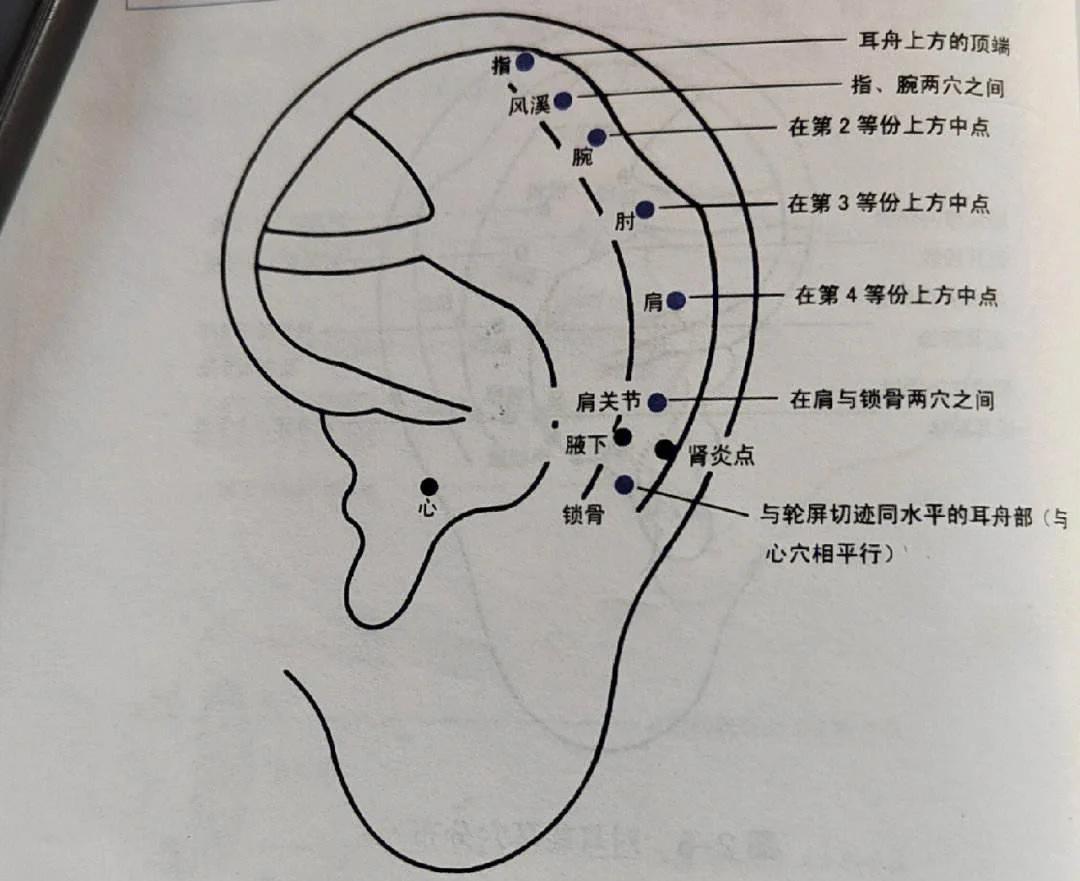 一个耳朵旁一个步(一个耳朵一个步念啥)