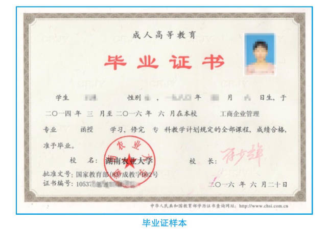 文凭查询网(中国文凭查询网)