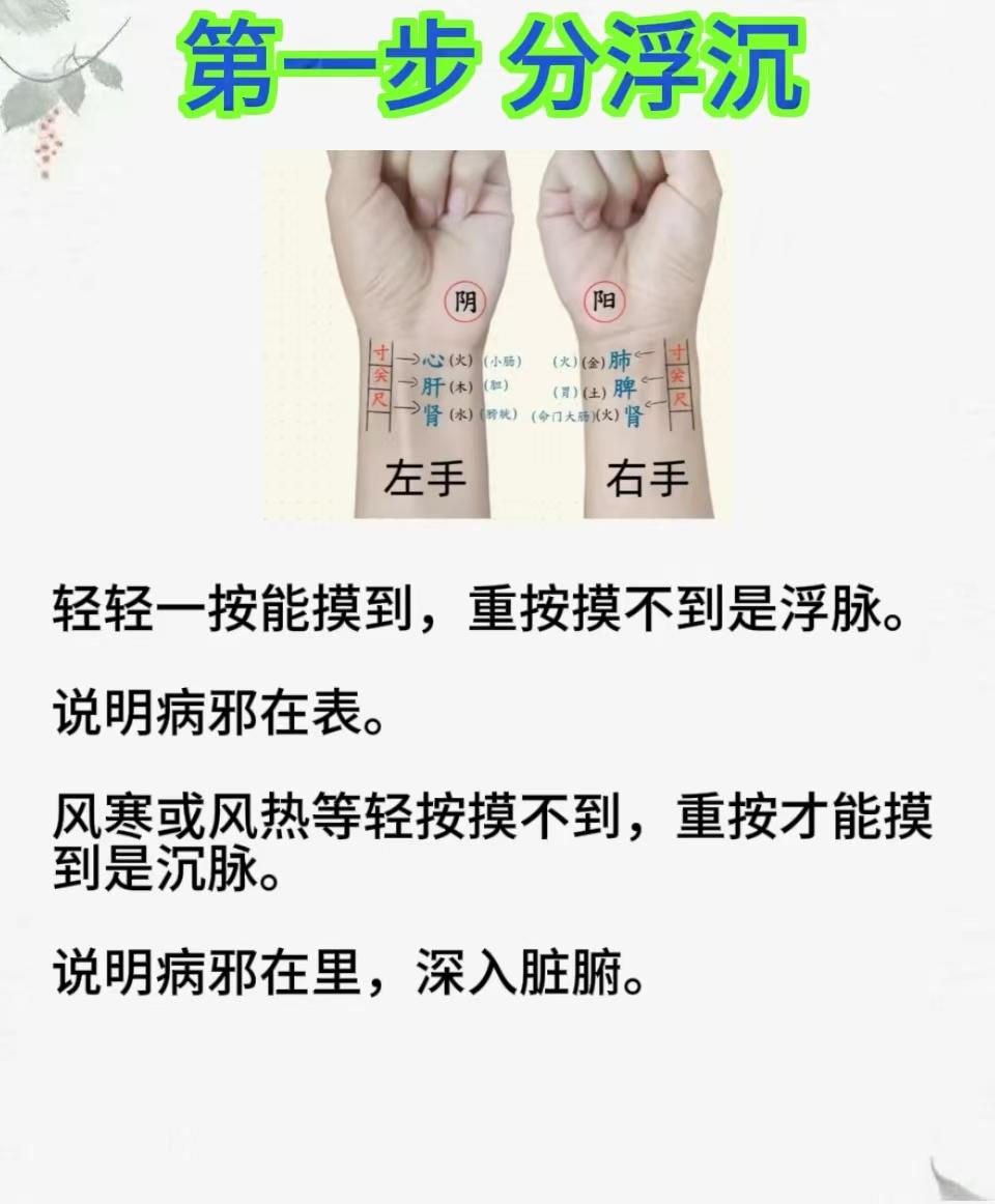 脉组词语(脉组词语和拼音)