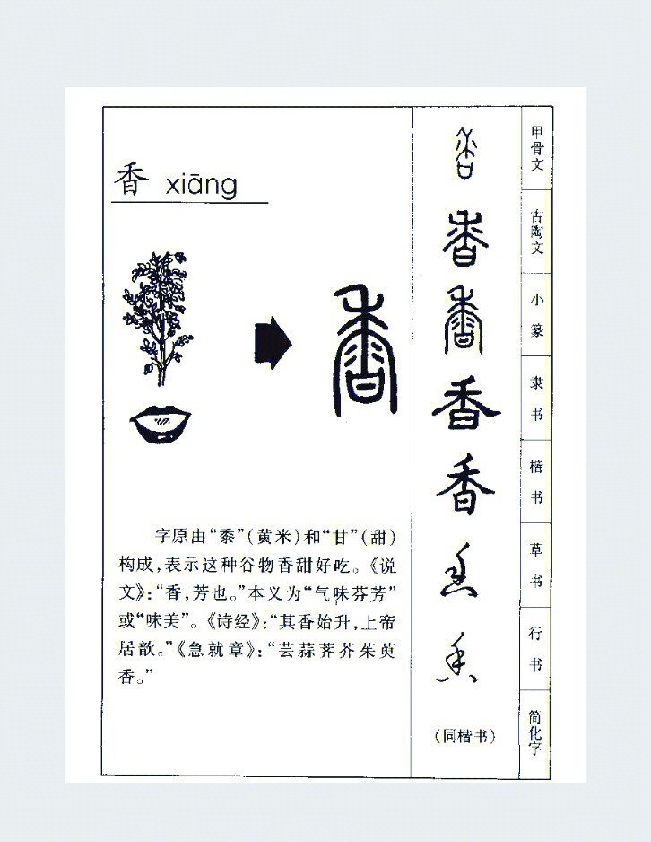 煮的词语(煮的词语怎么写)