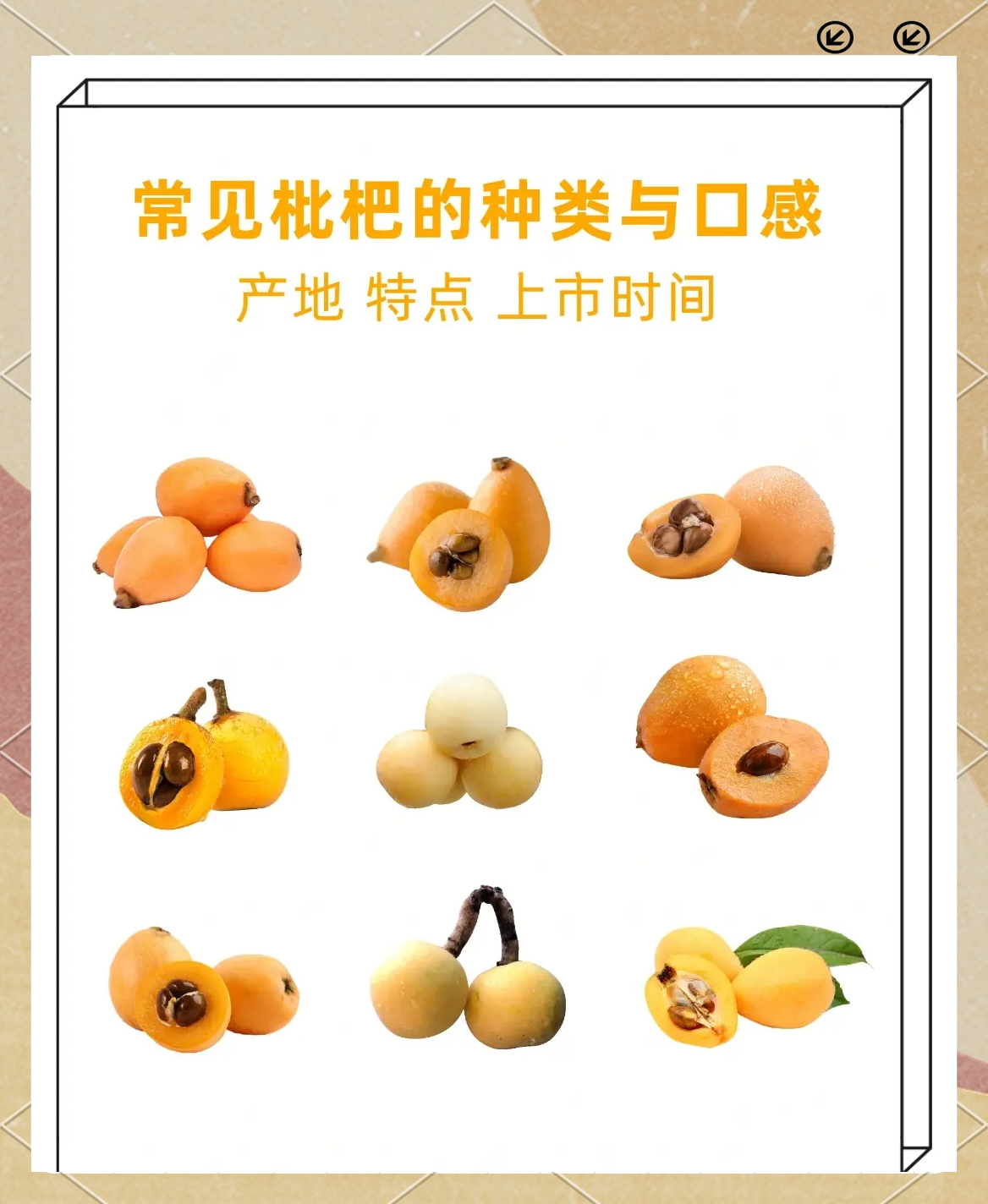 发烧能吃枇杷吗(发烧可以吃枇杷么)