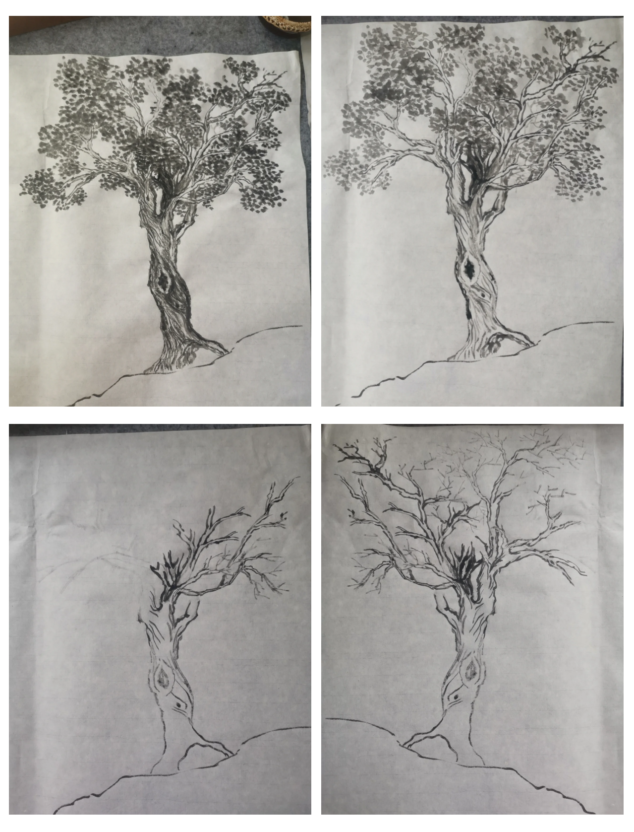 树的笔画顺序(树的笔画笔顺怎么写的)