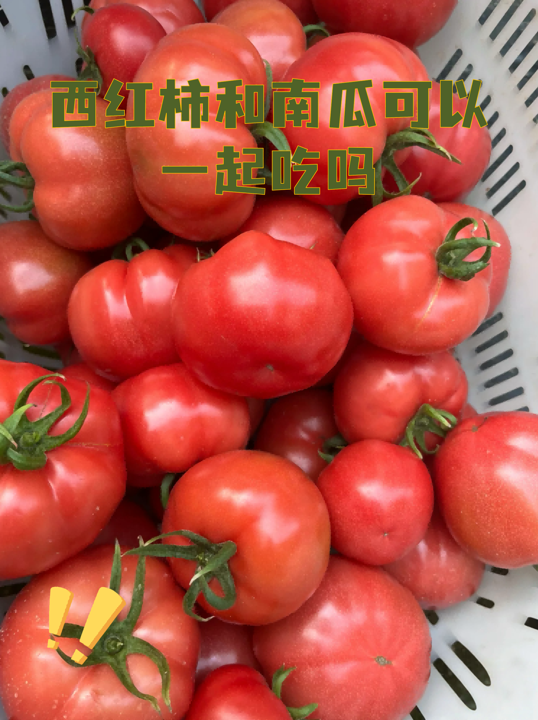 桃子和西红柿能一起吃吗(西红柿可以和桃子一起吃吗)