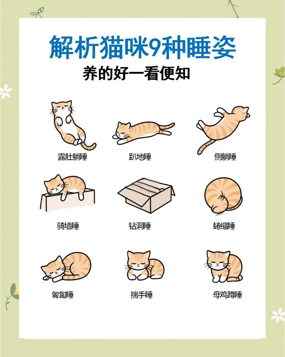 恹恹欲睡的意思(恹恹欲睡的恹是什么意思)