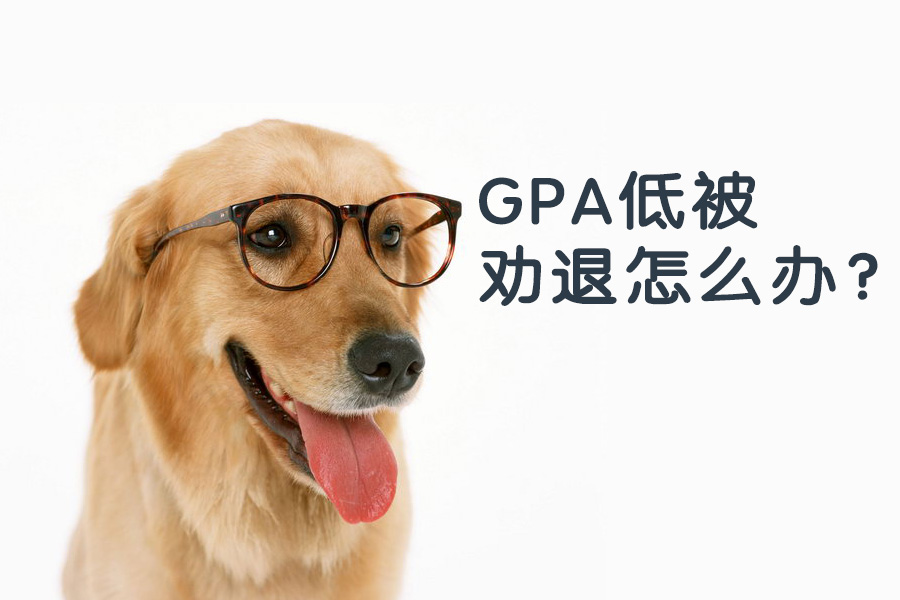 绩点低怎么补救(大一拿多少绩点正常)