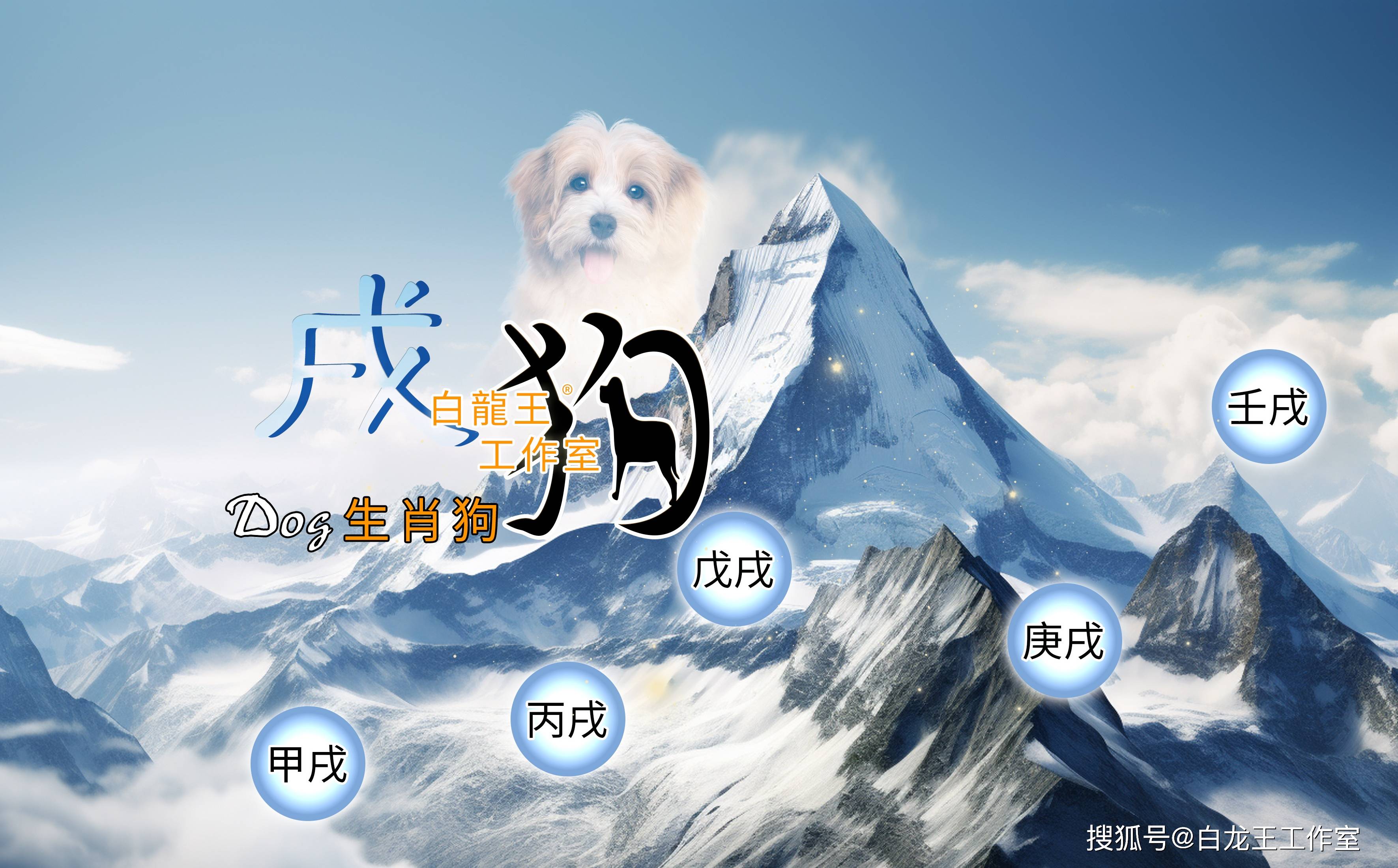 属狗人今日运势财运(属狗人今日运势财运梦见我买的米的袋子有点漏米)