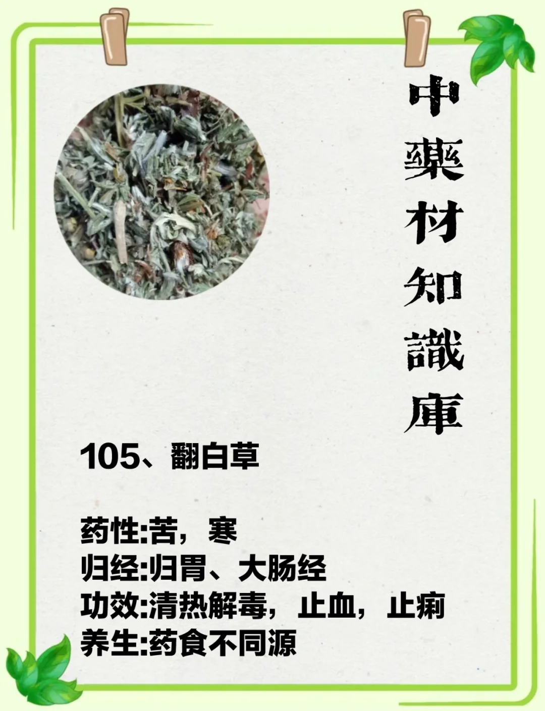 百药煎的功效与作用是什么(百药煎的功效与作用,百药煎的副作用)