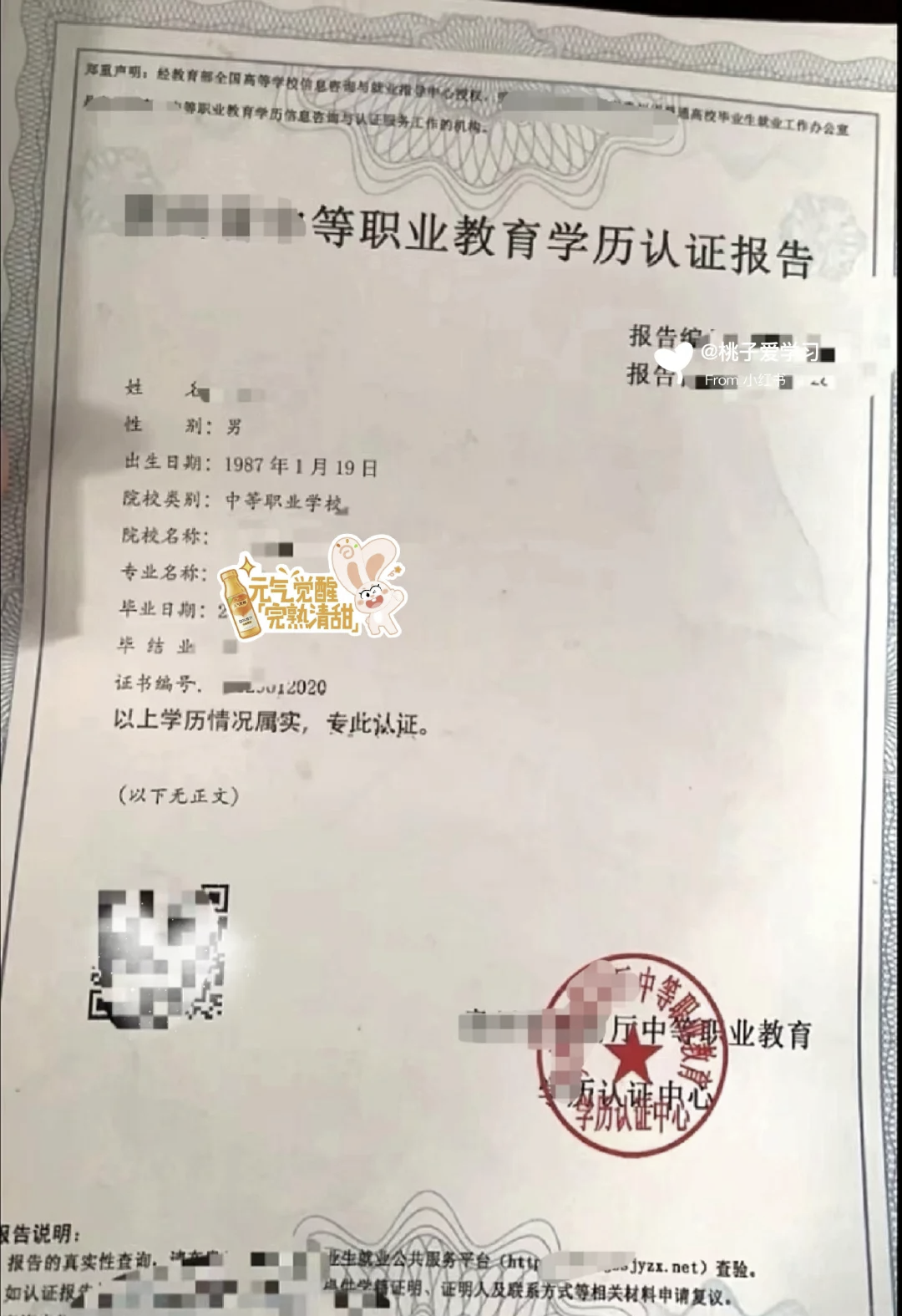 中专学历(中专学历怎么查学历证明)