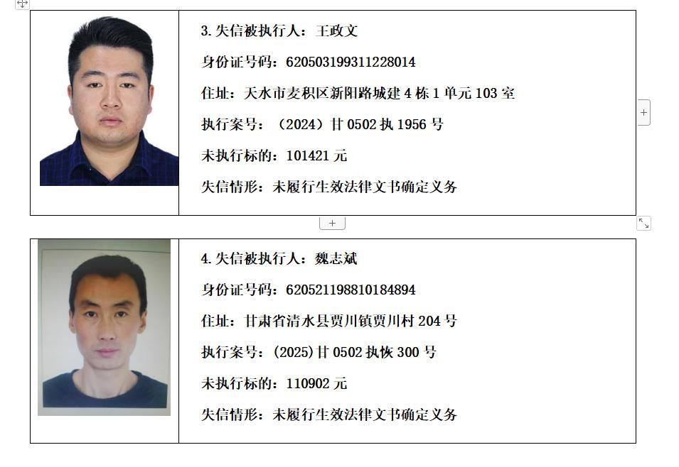 中国被执行人信息查询(中国被执行人信息查询免费网站)