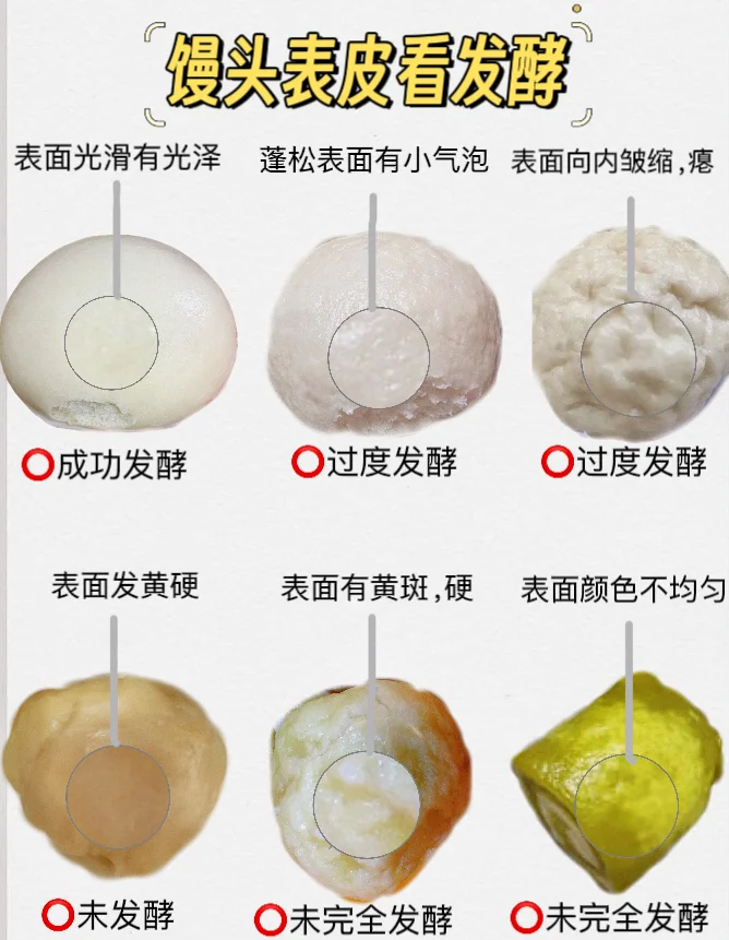 面粉发酵的方法(面粉发酵的方法比例是多少)