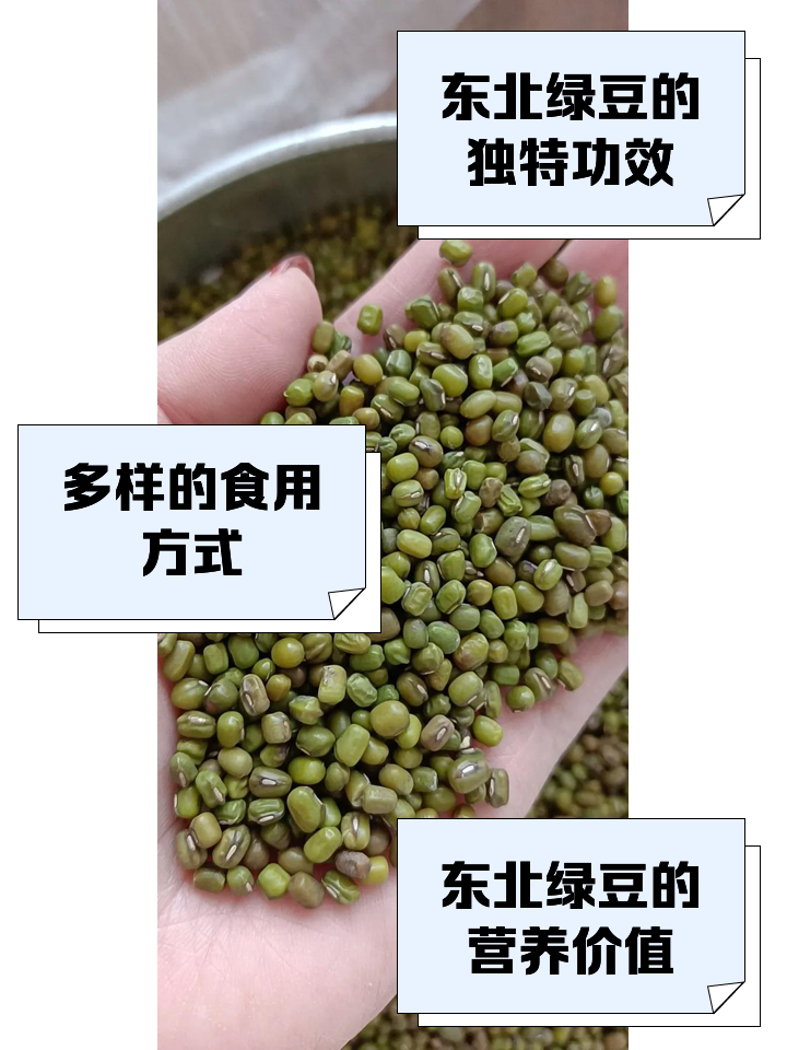 绿豆和大米能一起煮吗(绿豆可以和大米一起吃吗)
