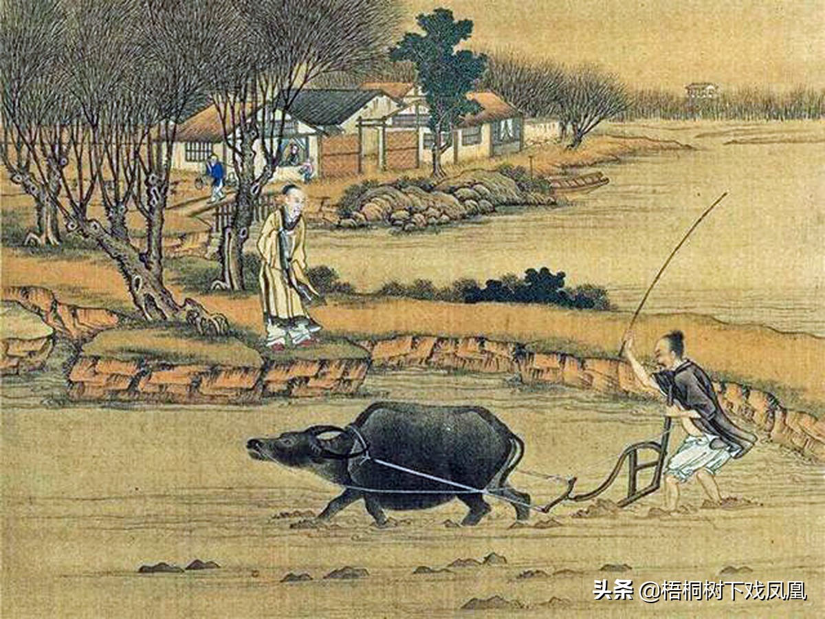 2022年是几龙治水(2022年是几龙治水几牛耕田)