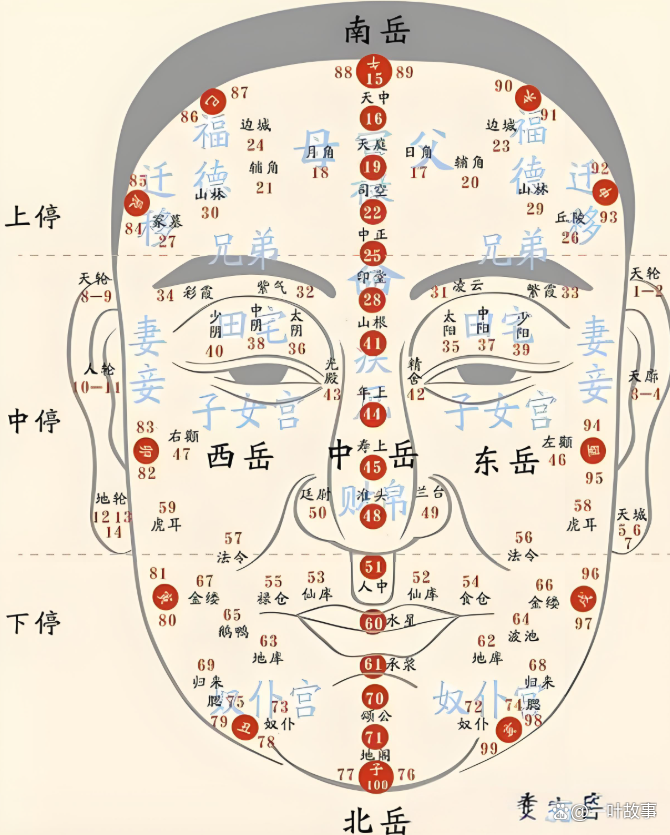 痣相图(痣相图女身上)