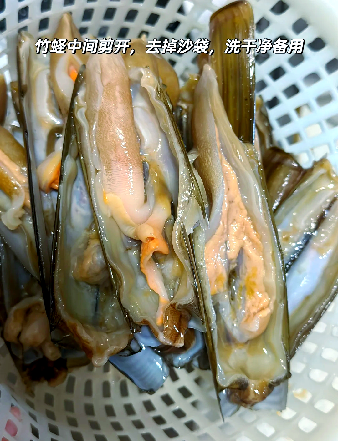 圣子和蛏子(圣子和蛏子的营养价值)