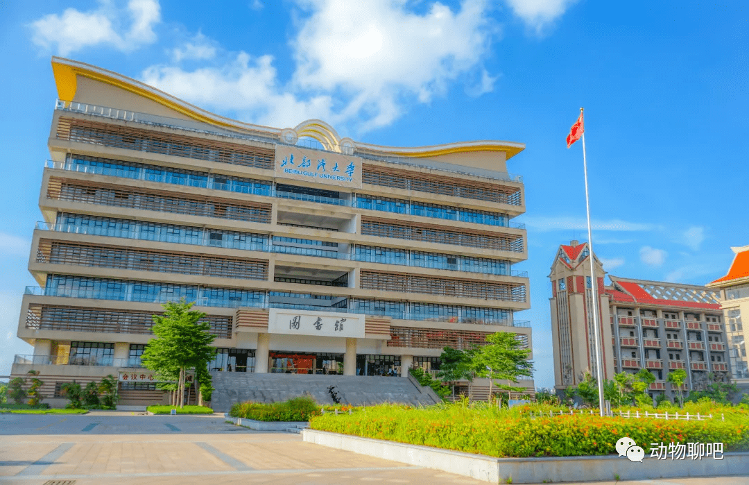 改了名字大学文凭还承认吗(改名字涉及到大学毕业证学位证怎么办)