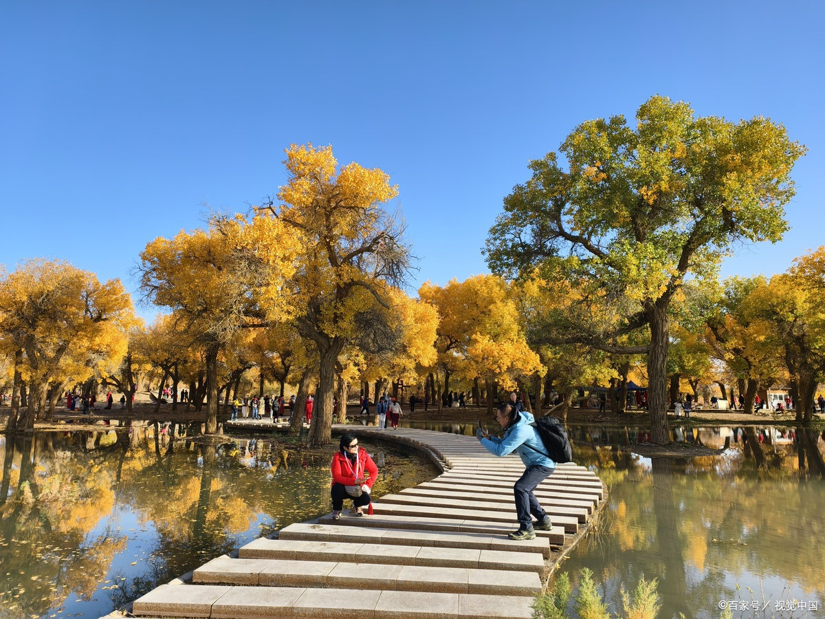 胡杨林在什么地方?哪个省?(胡杨林属于哪个省份的旅游景点)