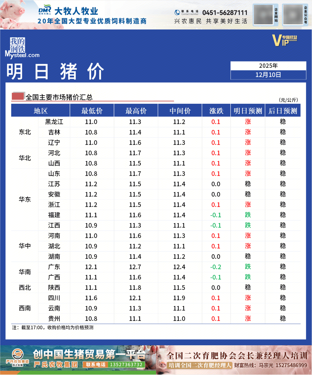今日猪价再迎上涨(今日猪价再迎上涨的说说)