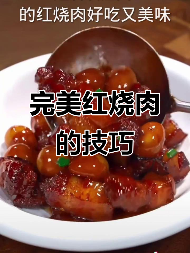 红烧肉有点苦怎么补救措施(红烧肉有点苦怎么补救措施放入冰糖可以吗)