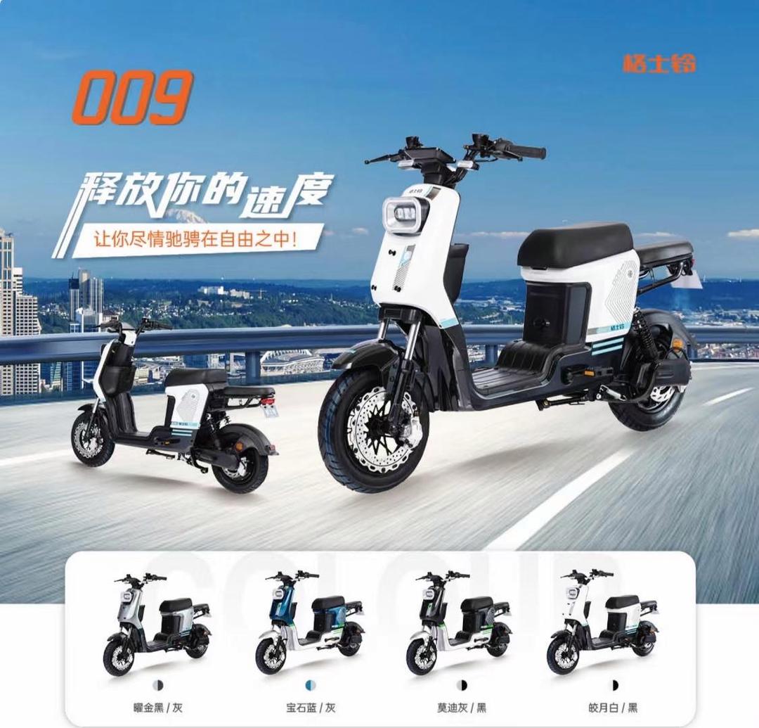 电动车排行榜前十名品牌(电动汽车排名前十名是哪些品牌)