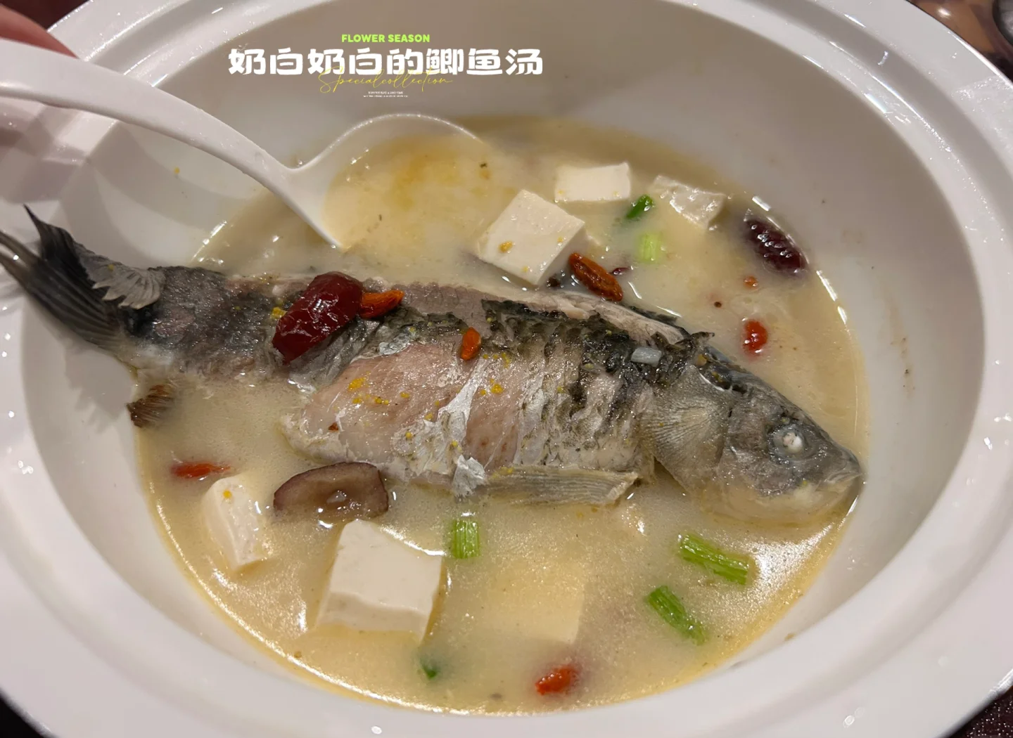 孕妇喝鲫鱼汤的禁忌(孕妇喝鲫鱼汤对胎儿好吗)