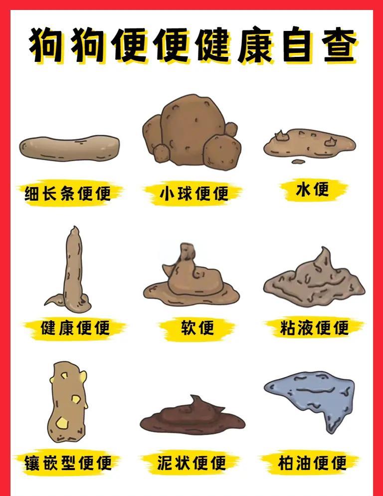 梦见一堆屎是什么意思(梦见一堆屎是什么意思女性)