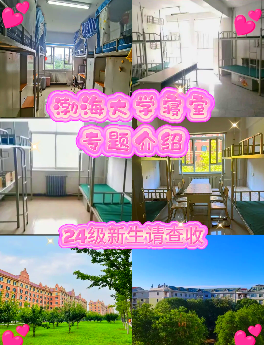 渤海大学考研好考吗(渤海大学研究生含金量)