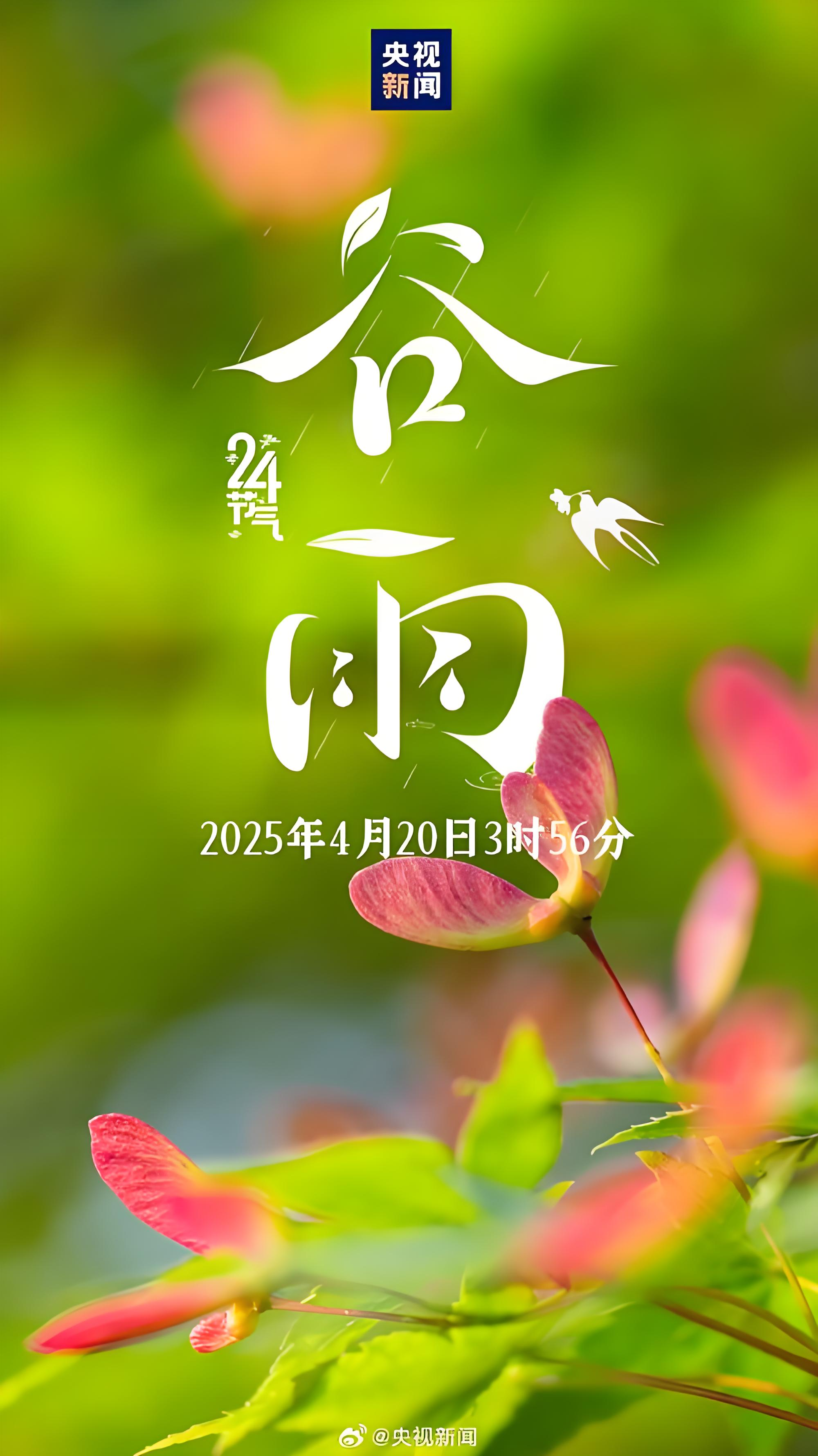 谷雨要下雨吗(谷雨要下雨吗英文)