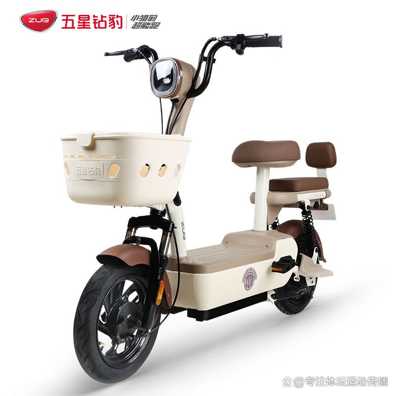 电动自行车排名(电动自行车排名及价格)