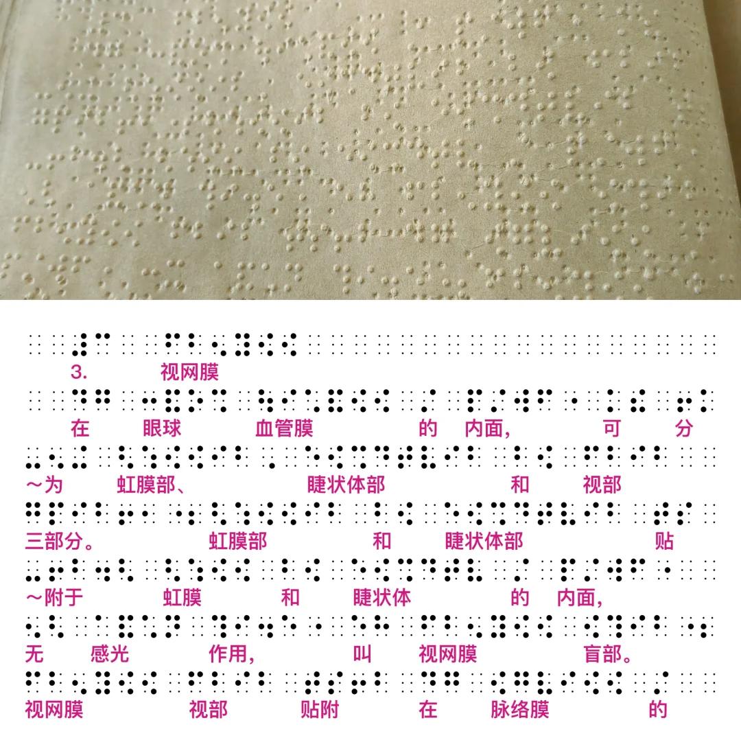 双盲是什么意思(招投标双盲是什么意思)
