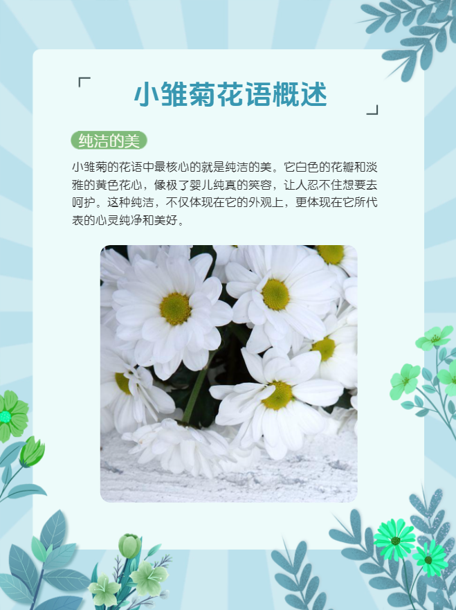 小雏菊适合放在家里吗(小雏菊适合放在家里吗冬天)