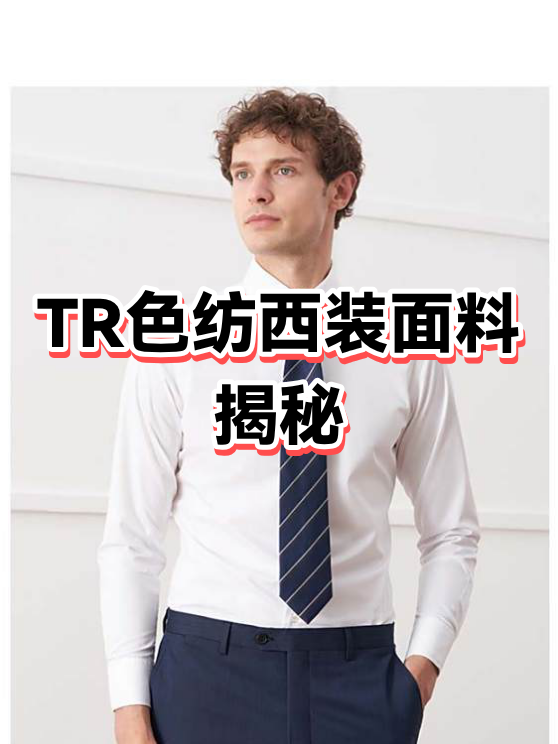 terylene是什么面料成分(teflon ecolite面料)