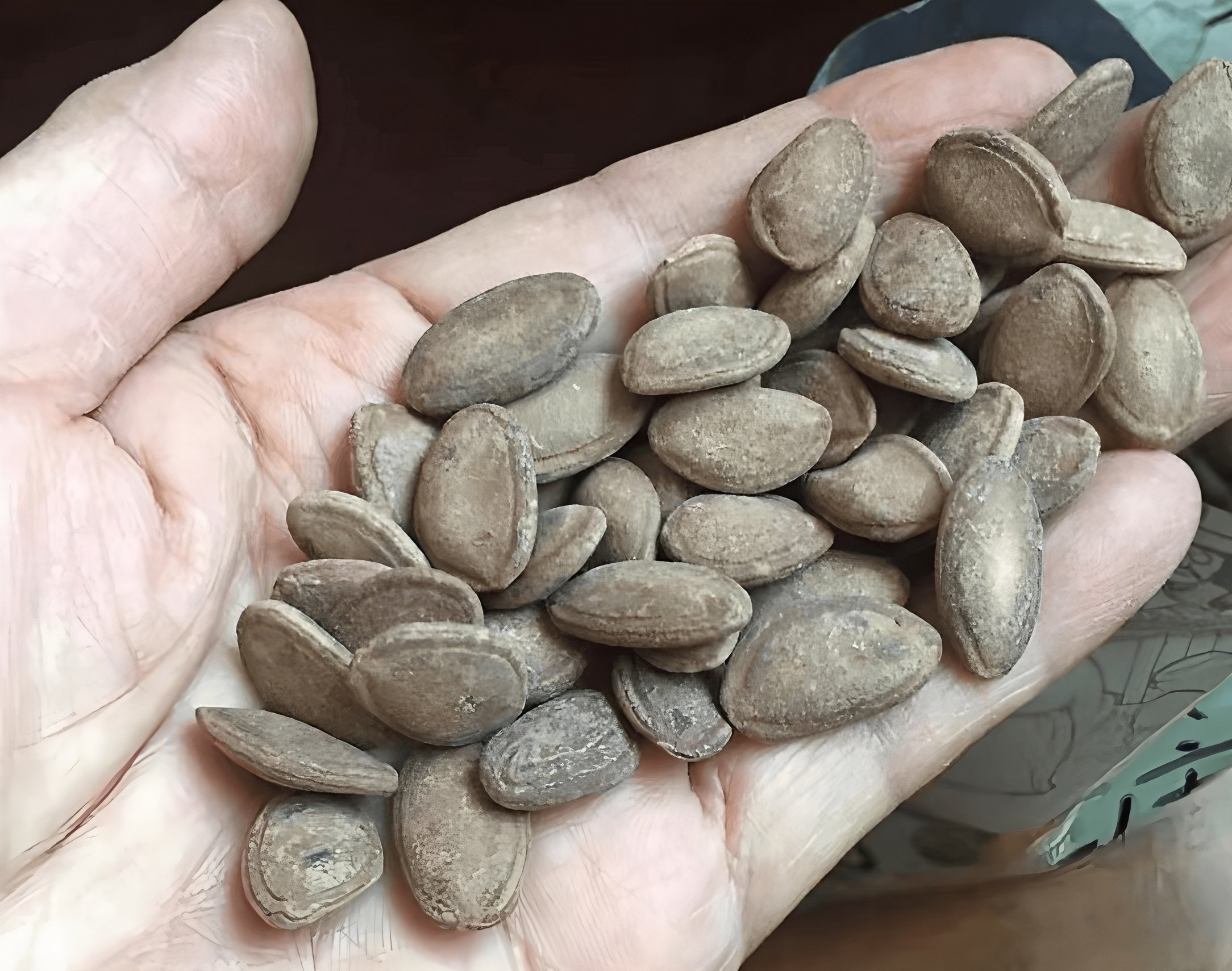 炒瓜蒌子的功效与作用(炒瓜蒌子的功效与作用与主治是什么)