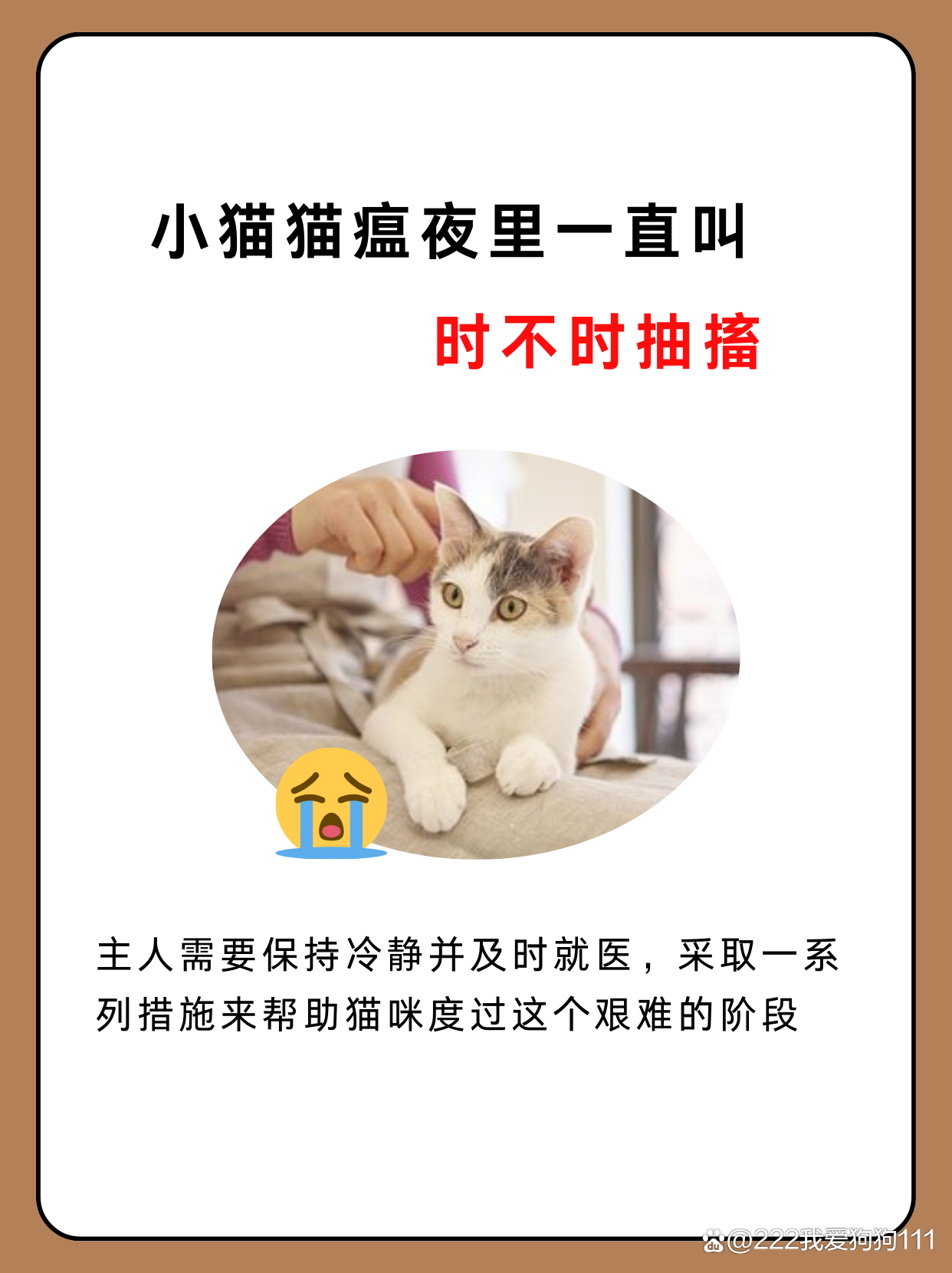 半夜2点15猫叫必须注意(半夜两点猫叫为什么要要注意)