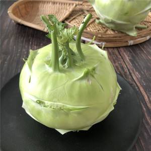 旮沓和旮旯区别(沓这个字念什么?)