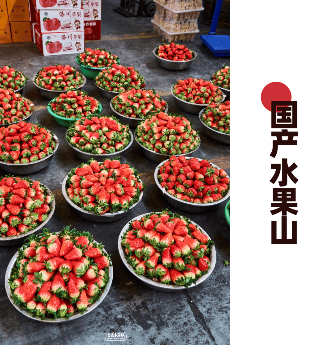 上海水果批发市场最最大的是哪里(上海最大的水果批发市场在什么地方)