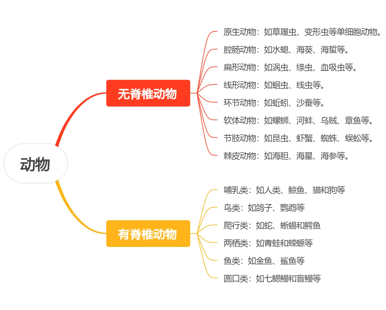 动物医学考研科目有哪些(动物医学考研考哪几门课程)