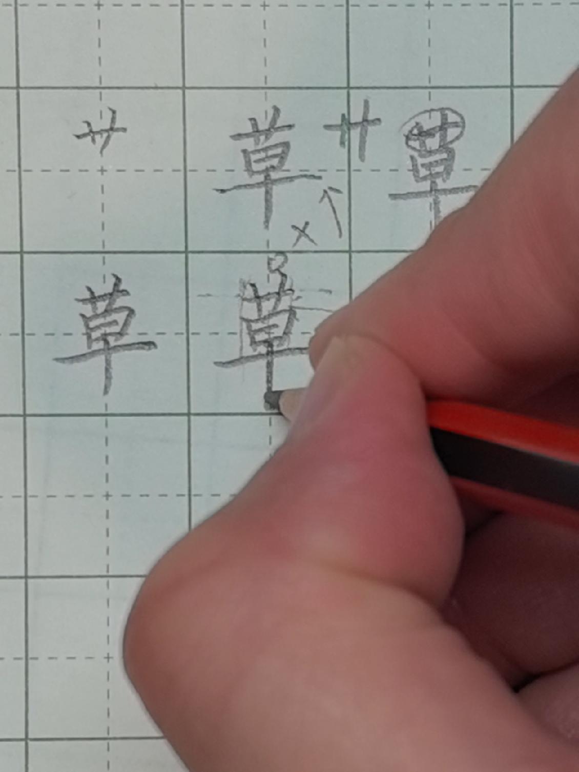 草字头加以(苡字取名的寓意)