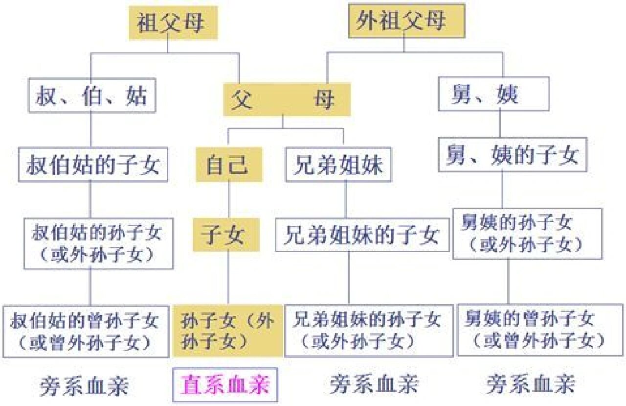 三代以内旁系血亲关系图(三代以内旁系血亲及配偶亲关系图)