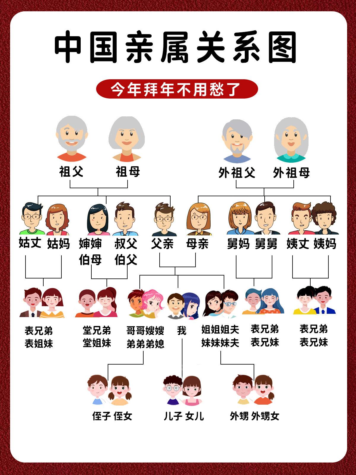 三代以内旁系血亲关系图(三代以内旁系血亲及配偶亲关系图)