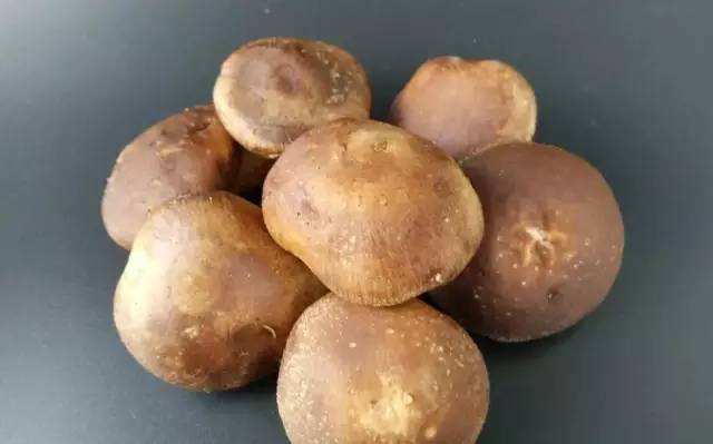 口蘑能放冰箱几天(口蘑放冰箱可以放几天)