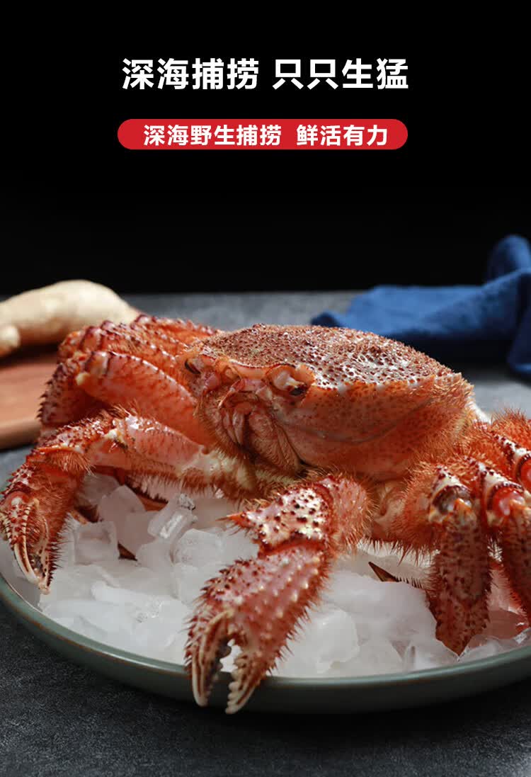 螃蟹能活多久(螃蟹能活多久栓着)