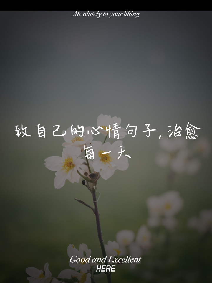一个人释放心情的美句(一个人释放心情的美句图片)