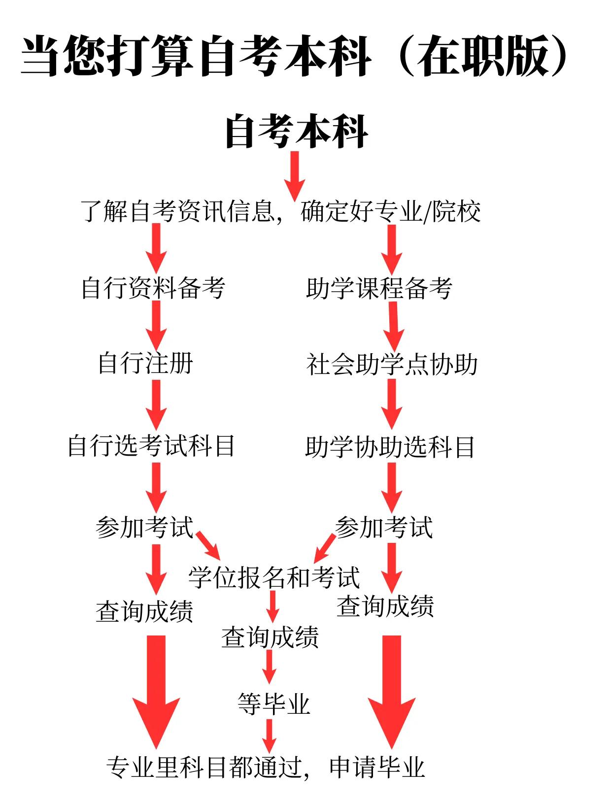 网上报考大专怎么报名(网上报考大专学历需要什么条件)