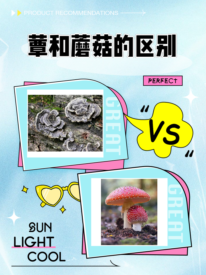 蘑菇是分解者吗(蘑菇有分解作用吗)