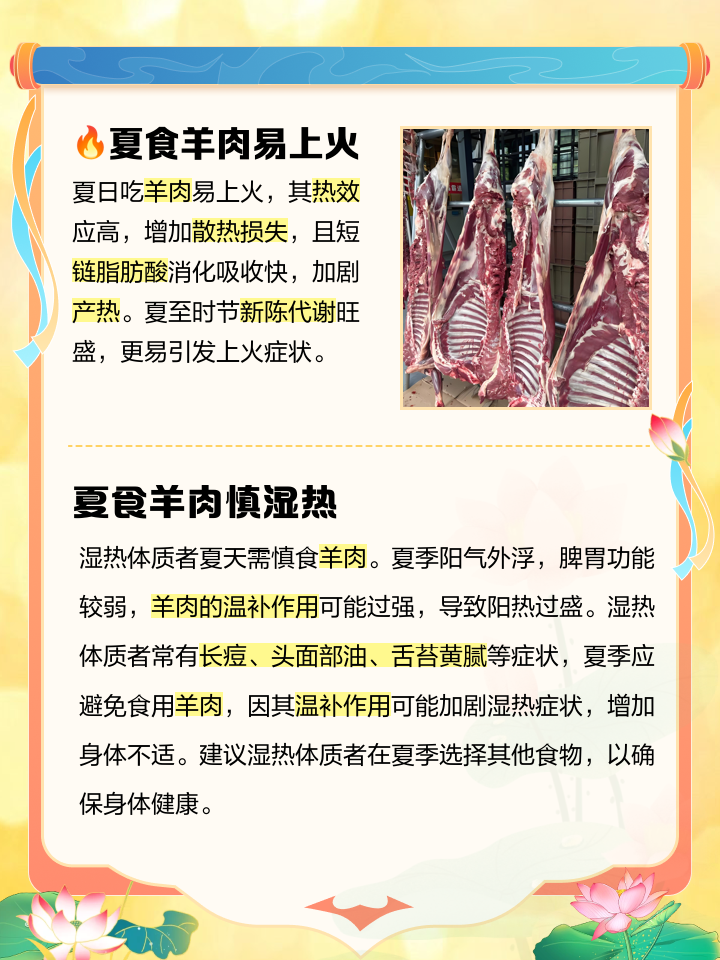 为什么夏天不能吃羊肉(羊肉为什么夏季不能食用)