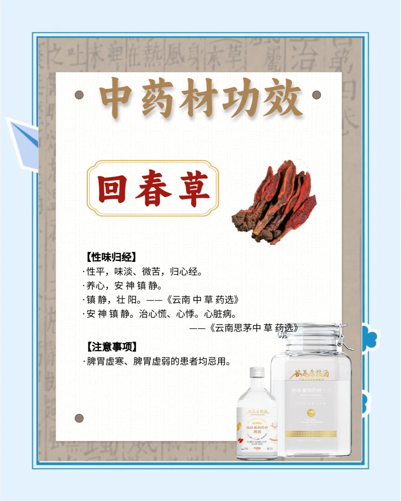 骨碎补泡酒功效与配方(骨碎补泡酒功效与配方 腰椎间盘突出)